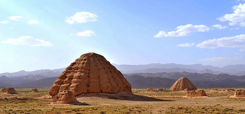 銀川伊百盛生物工程有限公司 銀川伊百盛生物工程有限公司