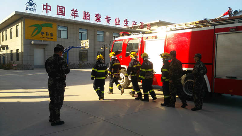 銀川伊百盛生物工程有限公司 銀川伊百盛生物工程有限公司