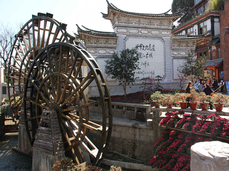 銀川伊百盛生物工程有限公司 銀川伊百盛生物工程有限公司