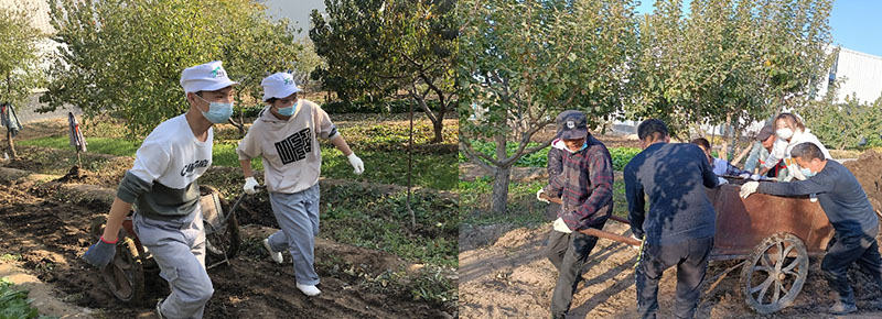 銀川伊百盛生物工程有限公司 銀川伊百盛生物工程有限公司