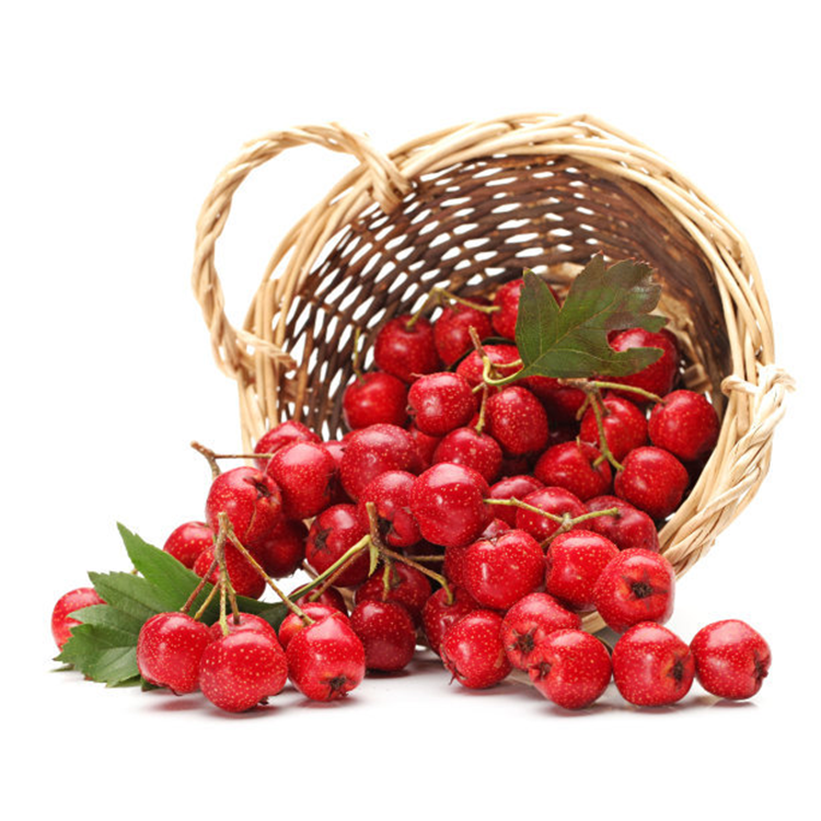 銀川伊百盛生物工程有限公司 銀川伊百盛生物工程有限公司