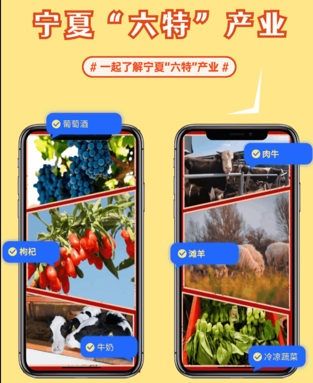 銀川伊百盛生物工程有限公司 銀川伊百盛生物工程有限公司