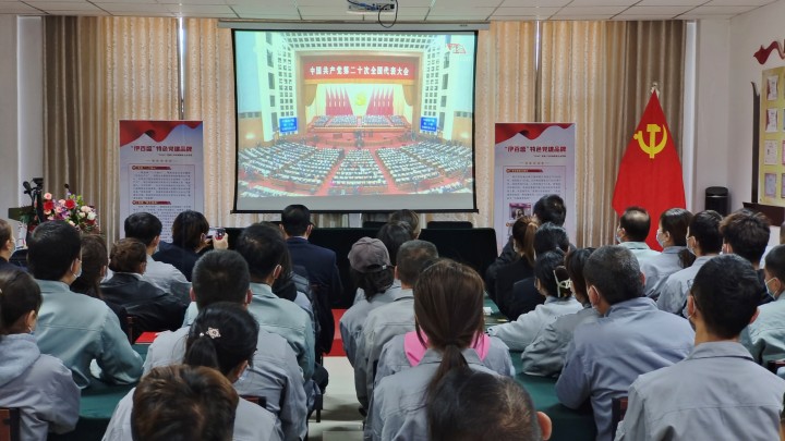 銀川伊百盛生物工程有限公司 銀川伊百盛生物工程有限公司