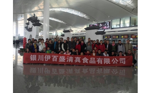 公司組織全體員工“昆明、大理、麗江、版納環飛8日游”