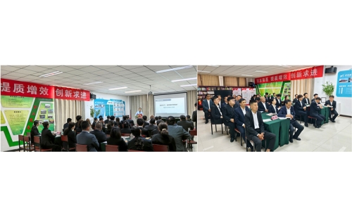 “培” 出奮進新姿態(tài)，“訓” 就發(fā)展新動能 —— 伊百盛培訓協(xié)同賦能紀實