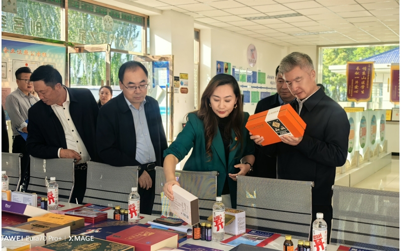 自治區黨委副書記莊嚴蒞臨企業調研